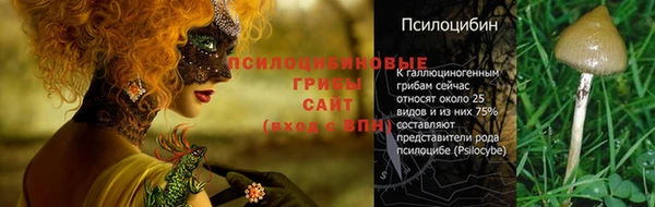 трава Алзамай