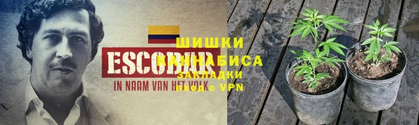 трава Алзамай