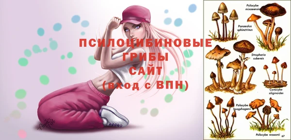 трава Алзамай