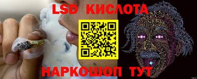 гидра Донецк