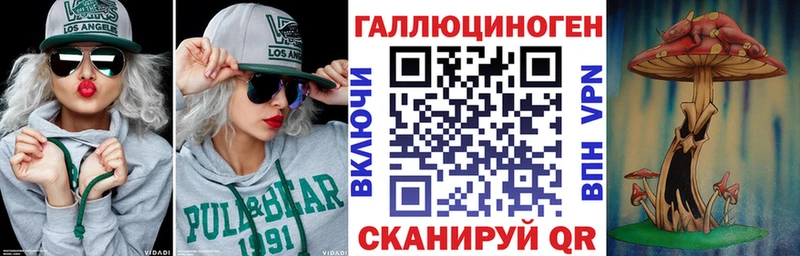 OMG ONION  Новозыбков  Галлюциногенные грибы GOLDEN TEACHER 