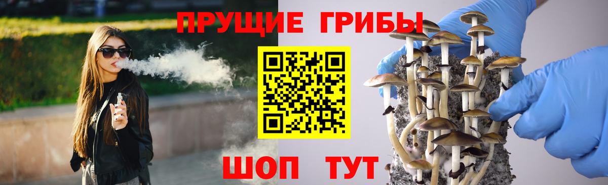 Псилоцибиновые грибы Новозыбков