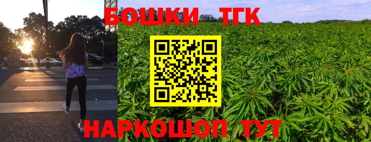 Конопля сатива Новозыбков