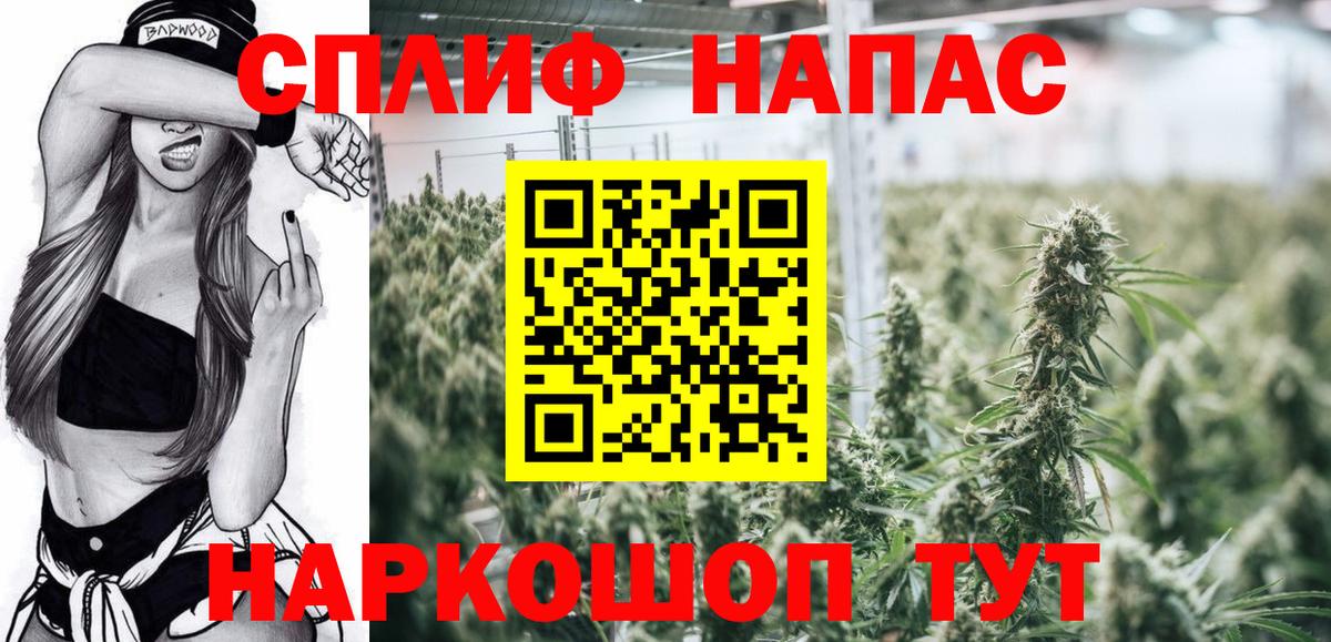 Каннабис сатива  Конопля планчик  Новозыбков  МАРИХУАНА AK-47  Вход с VPN 